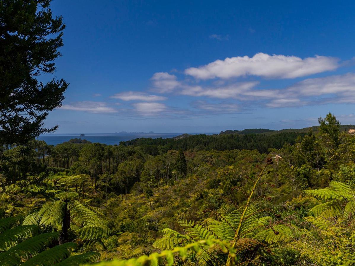 Hahei Hideaway - Hahei Holiday Home エクステリア 写真
